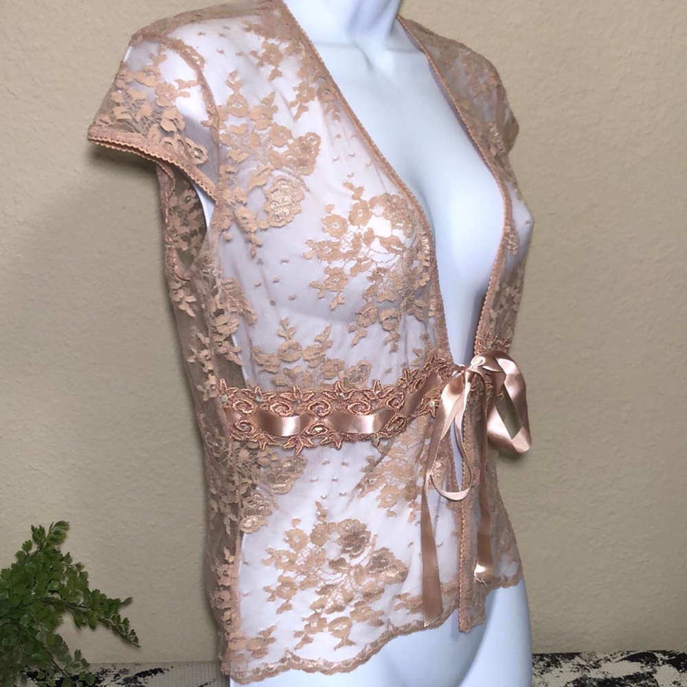 CDIV Petite pink Sheer lace top - Picture 4 of 8